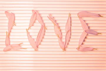 the inscription love on a pink background