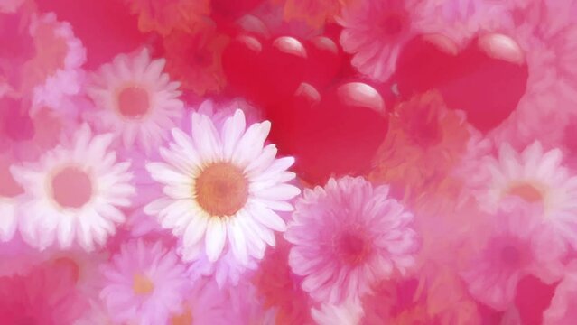 Romantic Valentine's Day background with gently moving love hearts, white daisy flowers and pink and red gerbera daisies in the style of an oil painting. Full HD and looping floral design background.