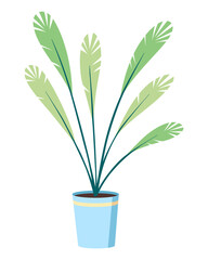 Modern office interior element. Palm tree in pot or vase. Business concept. illustration in flat cartoon style
