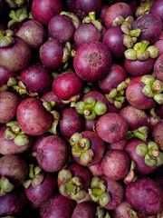 Organic mangosteen for sale in the market.