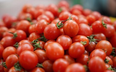Close-Up Bunch Of Fresh Red Tomatoes