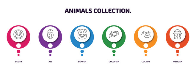 animals collection. infographic element with outline icons and 6 step or option. animals collection. icons such as sloth, aw, beaver, goldfish, colibri, medusa vector.