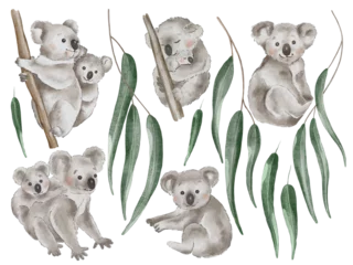 Zelfklevend Fotobehang Koala and eucalyptus watercolor transparent clipart.  Cute koala animal illustration, png format without background for you design. © ataly123