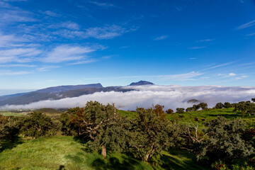 Reunion Island. View to the Piton des neiges over the clouds