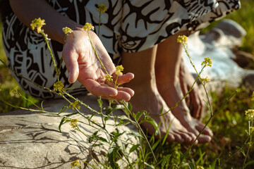 Woman hand touching flowers in meadow.
