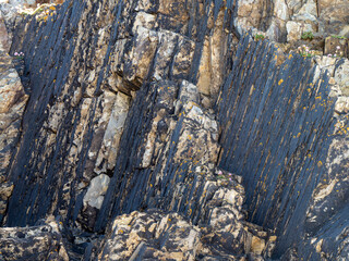 A variety of geological strata as a background.