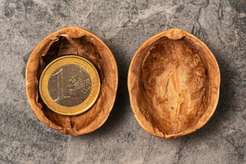One Euro coin in a cracked walnut shell