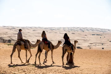 Foto op Canvas camels in the desert © Allison