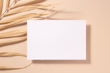 Card mockup with copy space top view, flat lay. Greetings, wedding invitations blank, paper sheet and dry palm leaf on beige background.