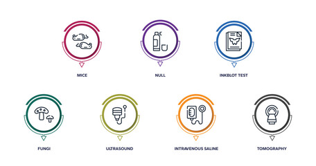 biochemistry and medicine outline icons with infographic template. thin line icons such as mice, null, inkblot test, fungi, ultrasound, intravenous saline drip, tomography vector. © VectorStockDesign