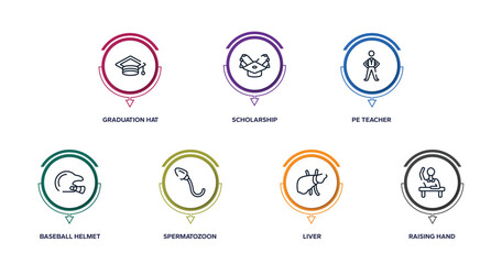 learning outline icons with infographic template. thin line icons such as graduation hat, scholarship, pe teacher, baseball helmet, spermatozoon, liver, raising hand vector.