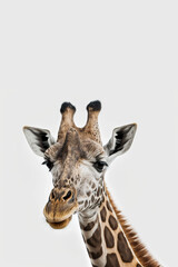 Obraz premium Giraffe wild zoo card design, Generative Ai