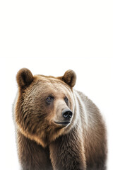 Browns Bear portrait, Generative Ai