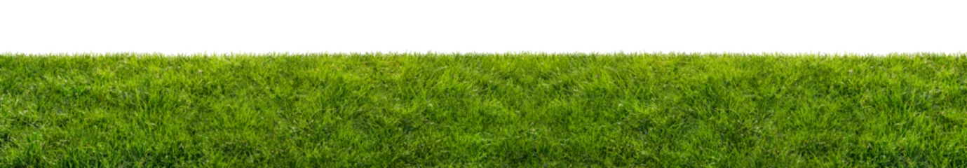 Wall murals Grass green grass field isolated on transparent background, png