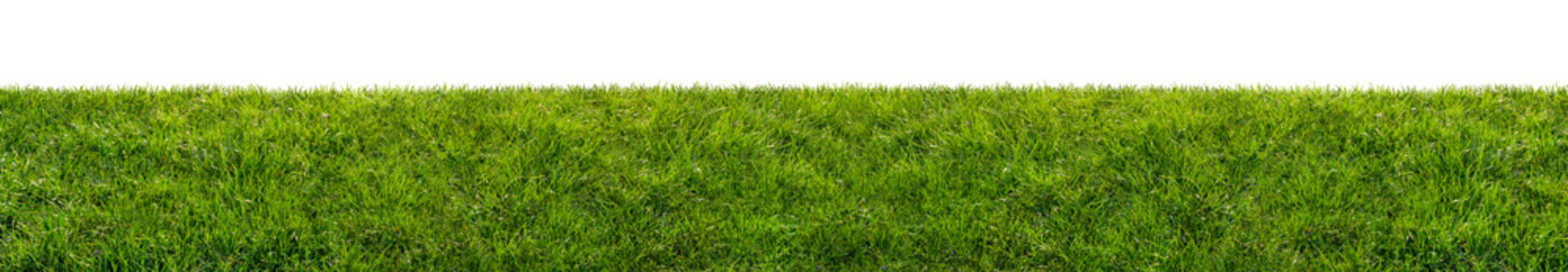 green grass field isolated on transparent background, png