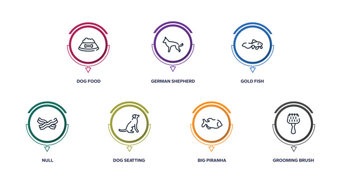 pet shop lineal outline icons with infographic template. thin line icons such as dog food, german shepherd, gold fish, null, dog seatting, big piranha, grooming brush vector.