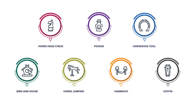 halloween outline icons with infographic template. thin line icons such as horse head chess piece, poison, horseshoe tool, bird and house, horse jumping, hammock, coffin vector.