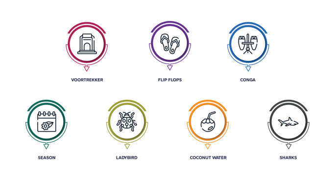 animals outline icons with infographic template. thin line icons such as voortrekker, flip flops, conga, season, ladybird, coconut water, sharks vector.