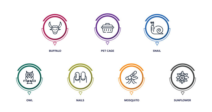 nature outline icons with infographic template. thin line icons such as buffalo, pet cage, snail, owl, nails, mosquito, sunflower vector.