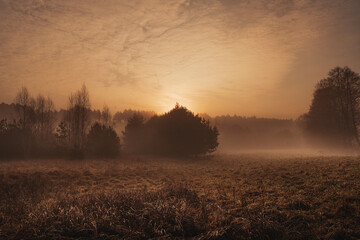 Wschodzące słońce we mgle na polanie 