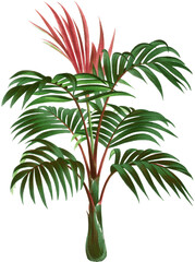 Beautiful vintage palm tree illustration high quality die-cut transparent background. Digitally enhanced