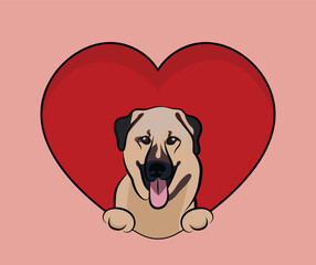 Smiling Kangal dog hanging with paws in a big Valentine's day heart. Love red heart with pet head and heart and footprint. Dog face Holding Pink Heart Cartoon Icon. St Valentine's day for dog funs.