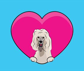 Poodle dog hanging with paws in a big Valentine's day heart. Love pink heart with pet head and heart and footprint. Dog face Holding Pink Heart Cartoon Icon. St Valentine's day for dog funs.