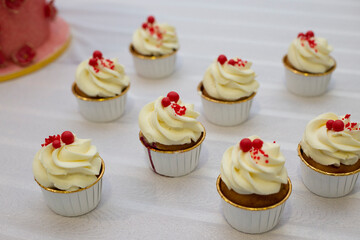 cupcakes with cream 
