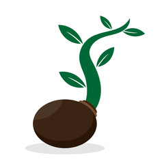 Simple sprouting seed drawing. A plant growing from a seed. The process of plant devlopment and growth. Nature concept