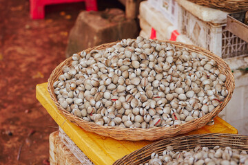 Fresh clams on display at a traditional market	