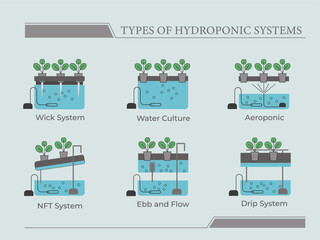 Types of hydroponic systems. Nutrient film technique, deep water culture, aeroponic for smart farming, urban farming and agriculture 4