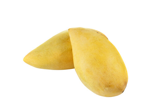 Fresh ripe yellow  mango on  transparent png