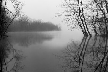 Lake with trees on cold foggy morning
