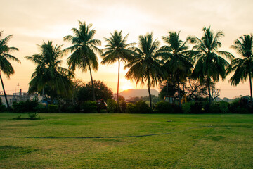 Beautiful landscape of green grass field park ,with silhouettes of coconut trees against dusky sky during sunset.