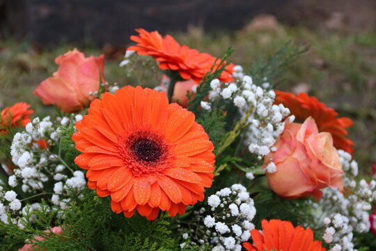 Gerberas und Rosen in Orange im Trauerkranz nach Beerdigung Vati auf dem Friedhof  mit Regentropfen gefroren