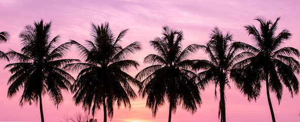 Fototapeta na wymiar Silhouettes of palm trees against the sky during a tropical sunset.