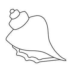 Shell sea vector outline icon. Vector illustration sea shell on white background. Isolated outline illustration icon of seashell.