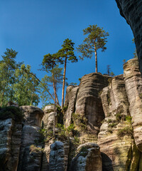 Adrspach Teplice rocks, the sandstone landscape in Bohemia, Czech Republic. Cliffs and mountains in Adr&scaron;pach-Teplice Rocks. Adersbach-Weckelsdorfer Felsenstadt, Europe hills.