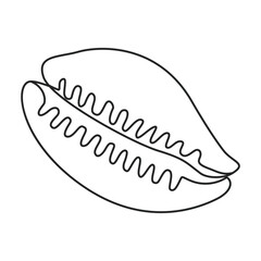 Shell sea vector outline icon. Vector illustration sea shell on white background. Isolated outline illustration icon of seashell.