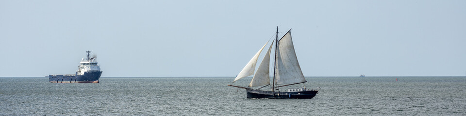 Tiere im Wasser und in der Luft