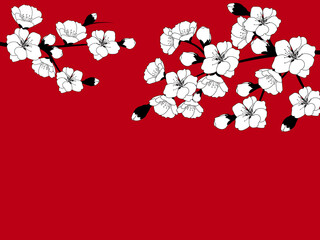 Branch of beautiful seasonal white cherry blossom on red background. Vector illustration © _AsAnia_