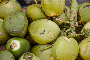 Coconuts at the market, traditional market