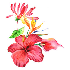Watercolor bouquet with hibiscus flower isolated on white background.