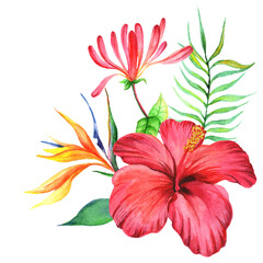 Watercolor bouquet with hibiscus flower isolated on white background.
