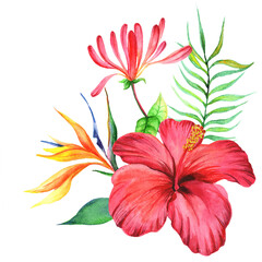 Fototapeta premium Watercolor bouquet with hibiscus flower isolated on white background.