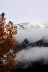 Foliage tra autunno e inverso in montagna