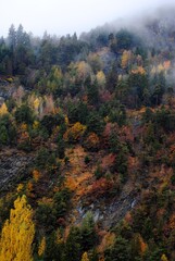 Fototapeta premium Foliage tra autunno e inverso in montagna