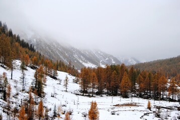 Foliage tra autunno e inverso in montagna