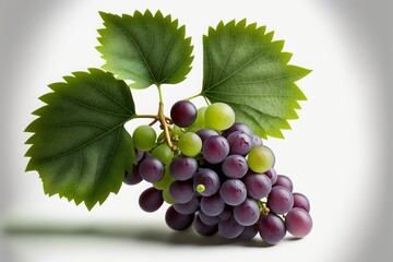 The Simple Beauty of Grapes: A Photographic Study