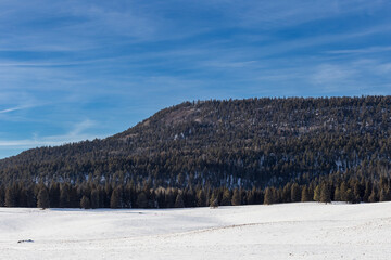 Snow covered field with tree covered mountian range on clear day in rural New Mexico